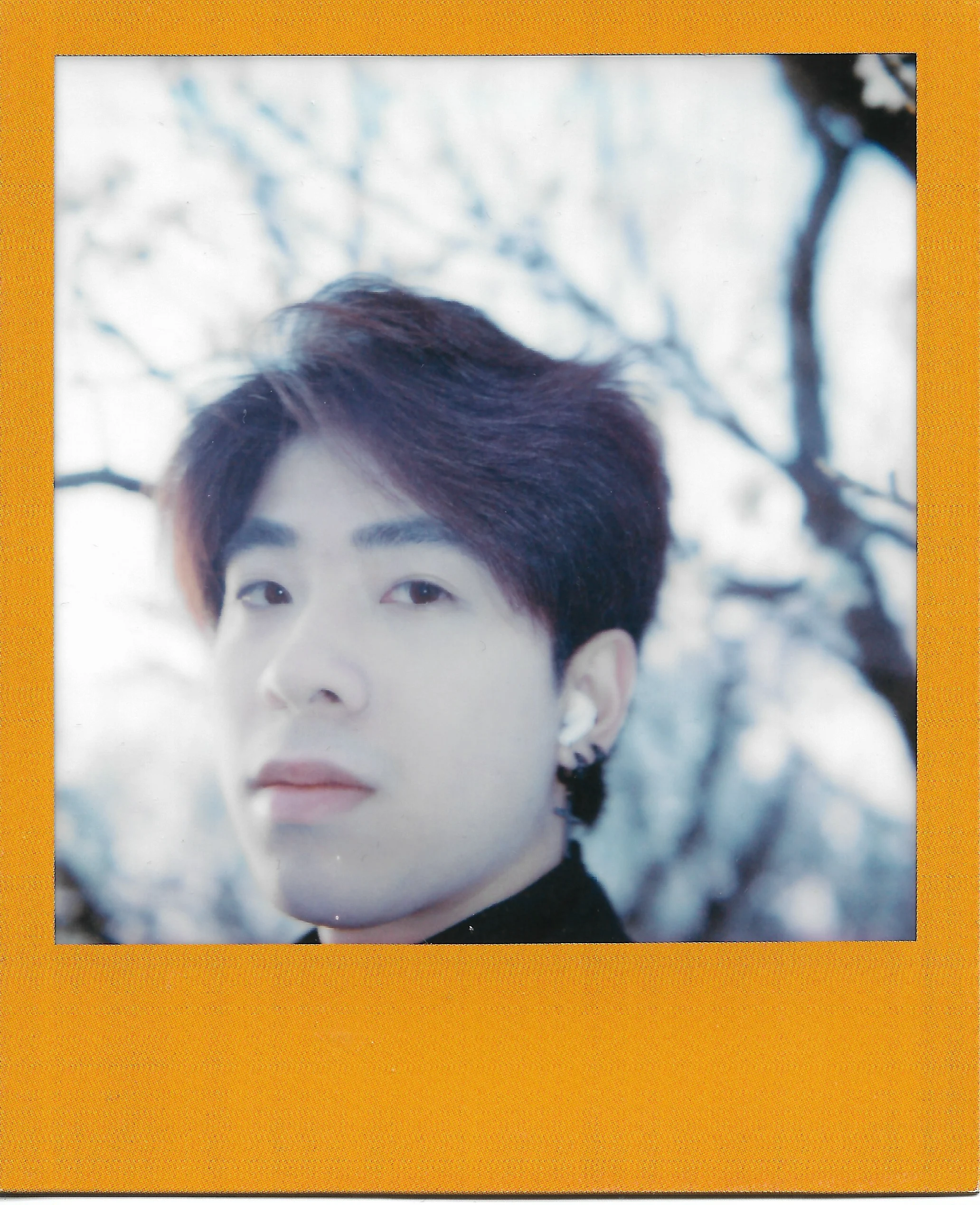 Leslin Li 的宝丽来扫描作品，第 2 张。